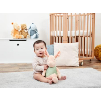 Winnie l'Ourson Hundred Acre Wood Collection Classique Peluche Porcinet 27,5 cm